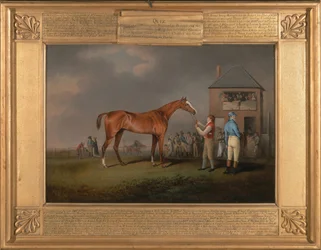 Quiz, po swoim ostatnim wyścigu w Newmarket